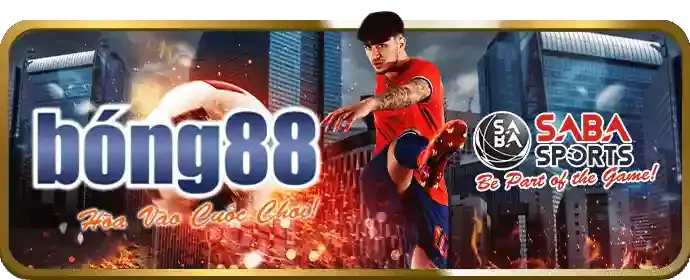 Cá cược quần vợt 11win
